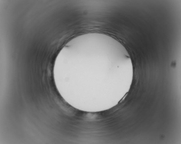 X0000113130570200910161135