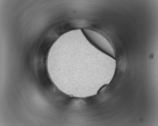 X0000113130572200910161135
