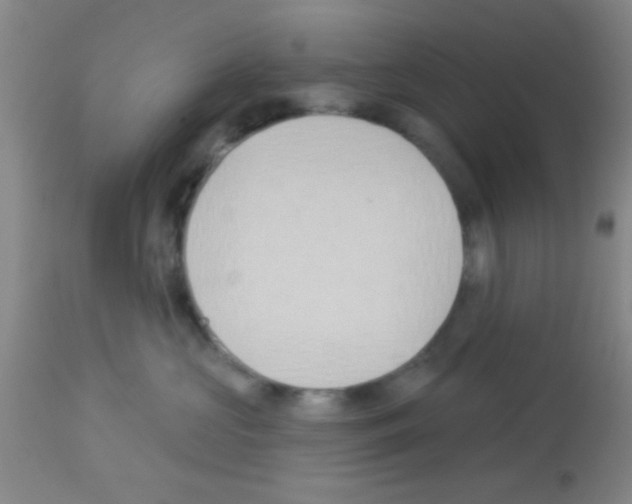 X0000113130573200910161135