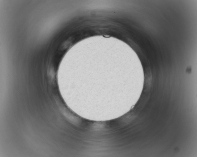 X0000113130574200910161135