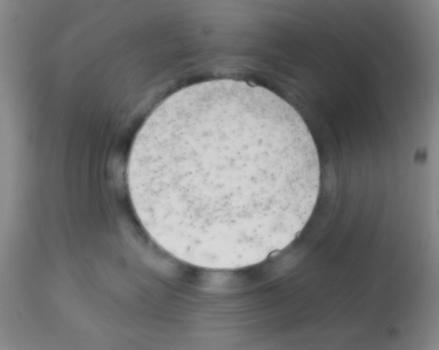 X0000113130575200910161135