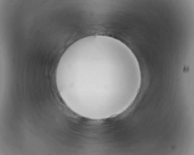 X0000113130576200910161135