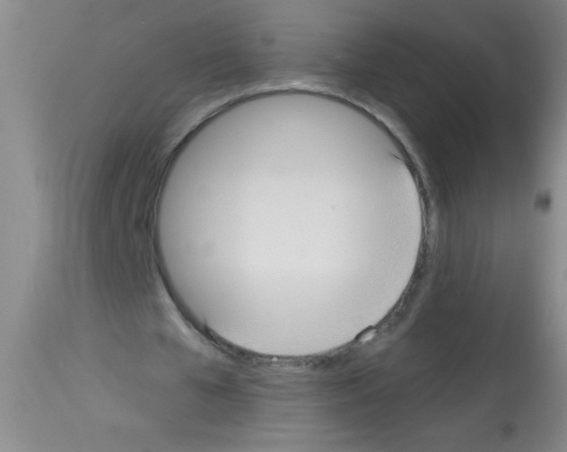 X0000113130577200910161134