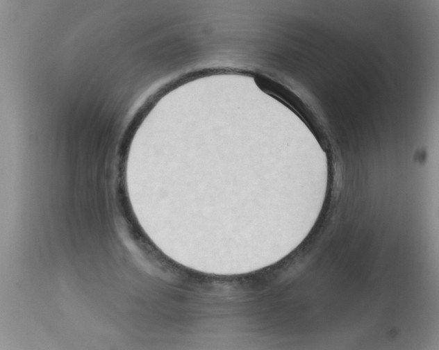 X0000113130580200910161134
