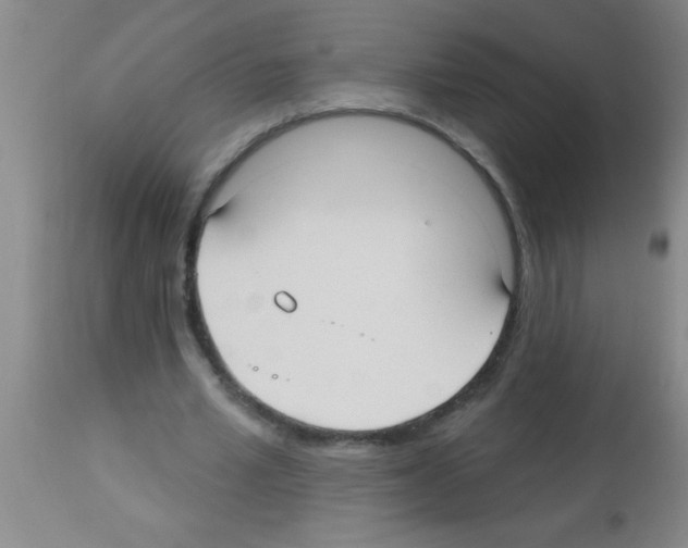 X0000113130581200910161134