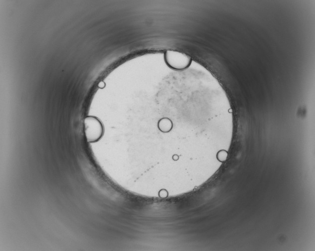 X0000113130584200910161134