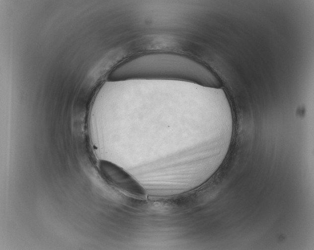 X0000113130585200910161134