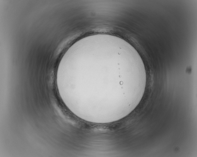 X0000113130586200910161134