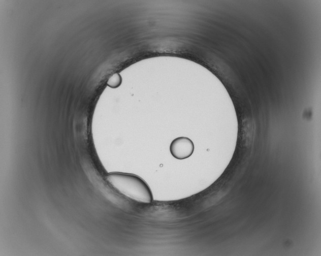 X0000113130589200910161134