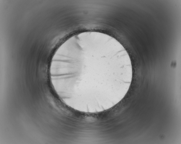 X0000113130592200910161134