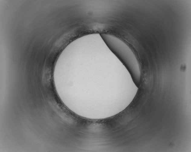 X0000113130593200910161134