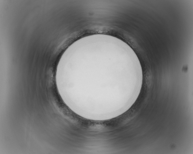X0000113130594200910161134
