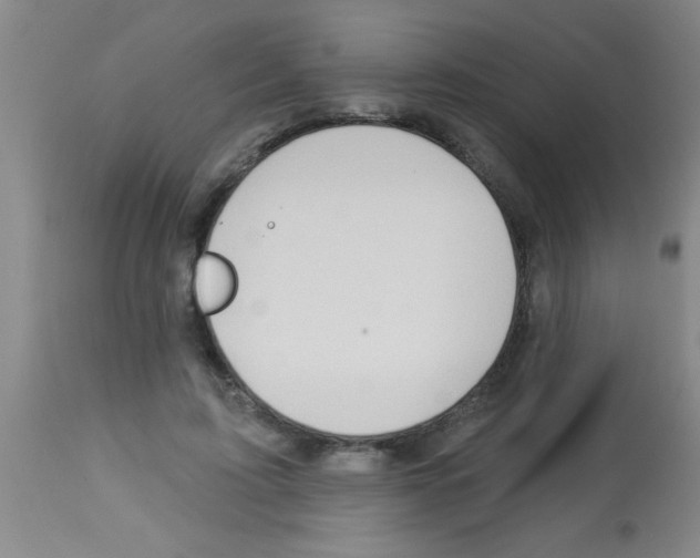 X0000113130595200910161134