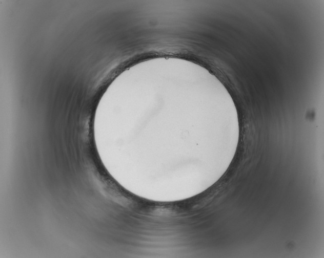 X0000113130596200910161134
