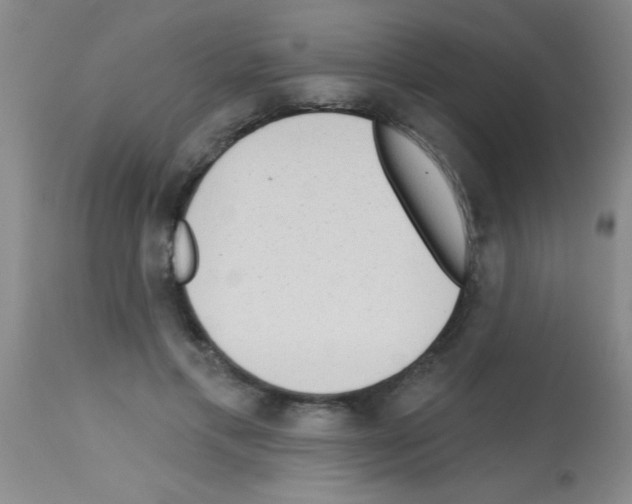 X0000113130597200910161134