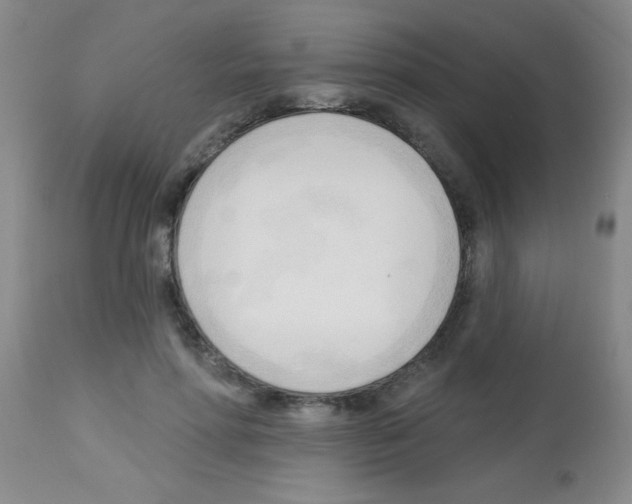 X0000113130598200910161134