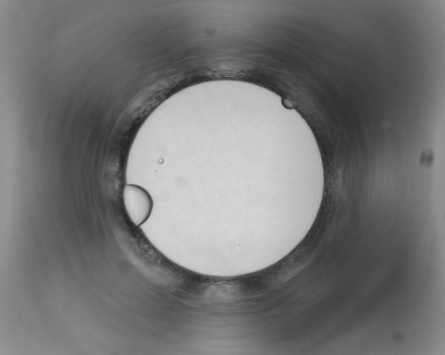 X0000113130599200910161134