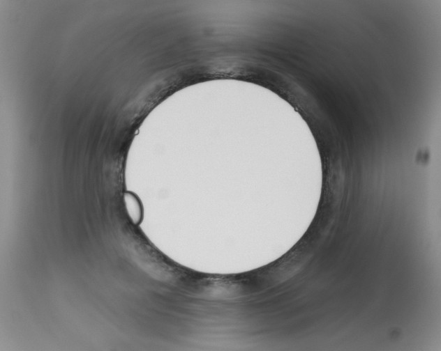 X0000113130601200910161134