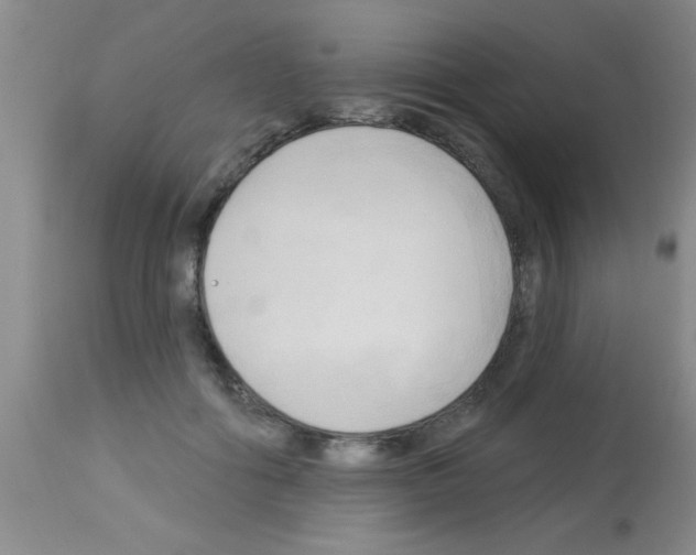 X0000113130602200910161134