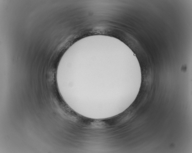 X0000113130603200910161134
