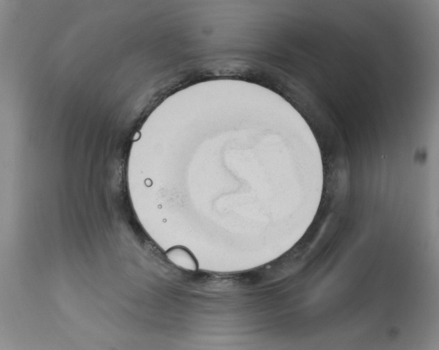 X0000113130604200910161134