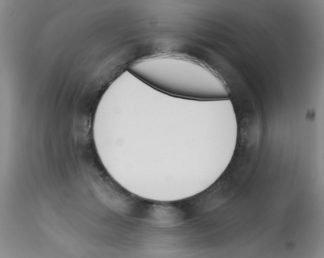 X0000113130605200910161134