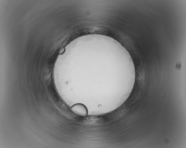 X0000113130607200910161134