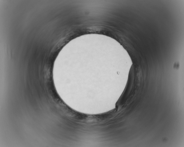 X0000113130608200910161134