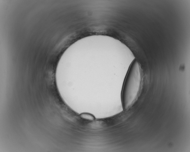 X0000113130609200910161134