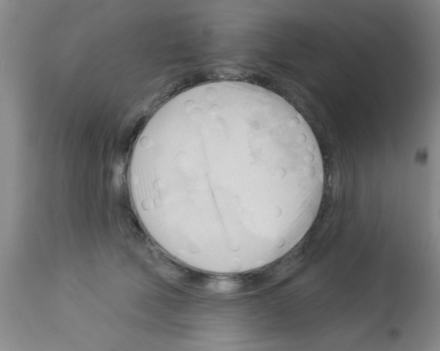 X0000113130610200910161134