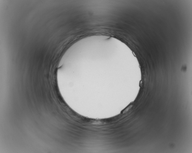 X0000113130611200910161134