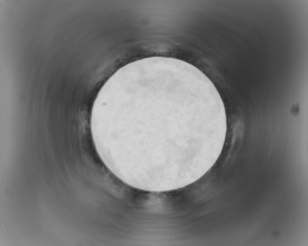 X0000113130612200910161134