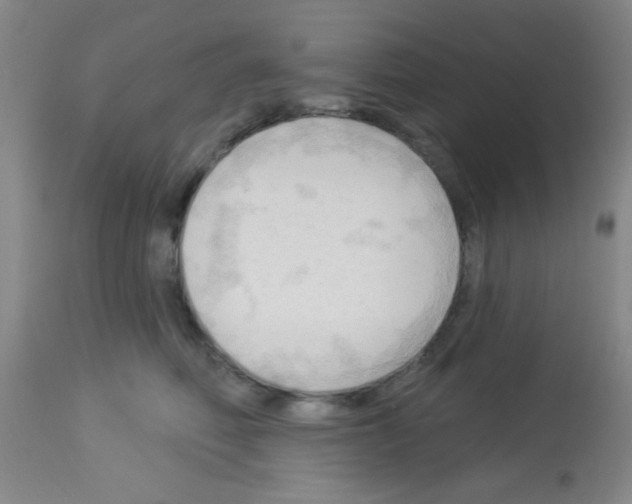 X0000113130614200910161134
