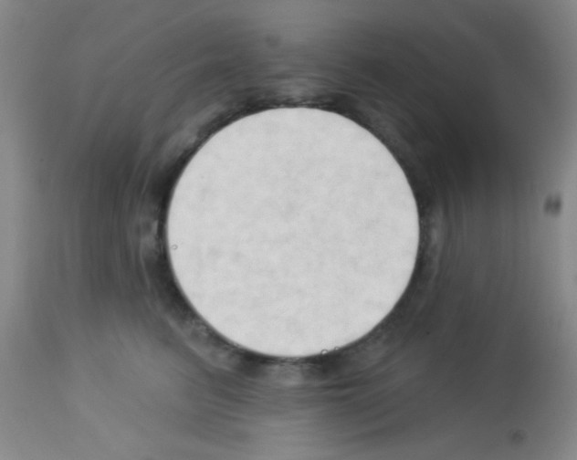 X0000113130615200910161134