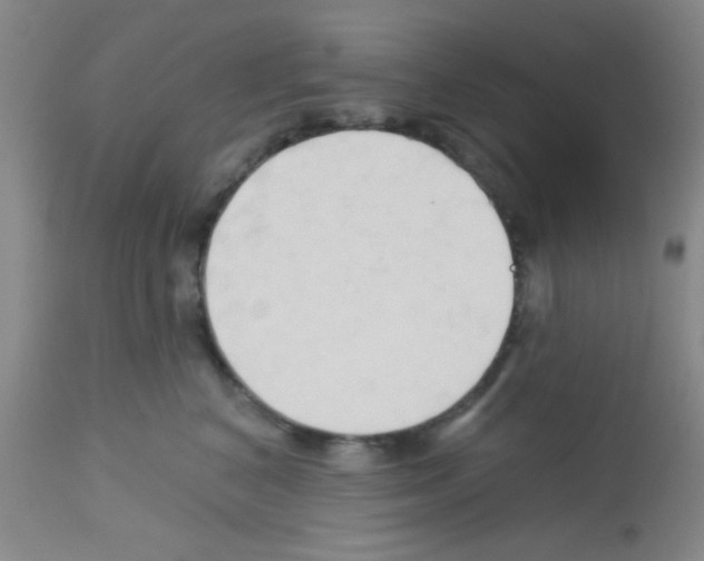 X0000113130616200910161134