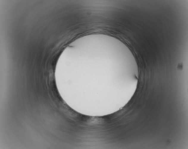 X0000113130617200910161134