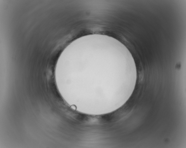 X0000113130618200910161134