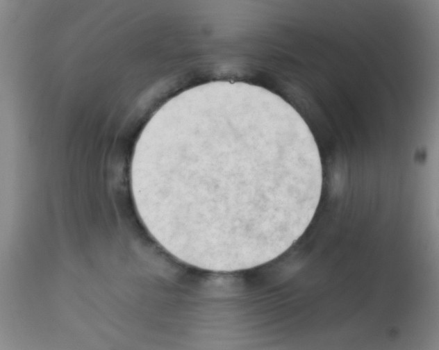 X0000113130619200910161134