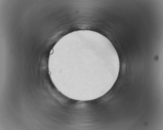 X0000113130620200910161134