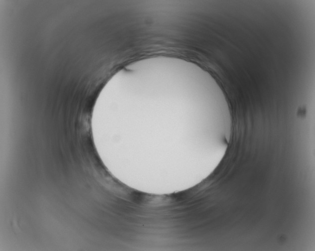 X0000113130621200910161134