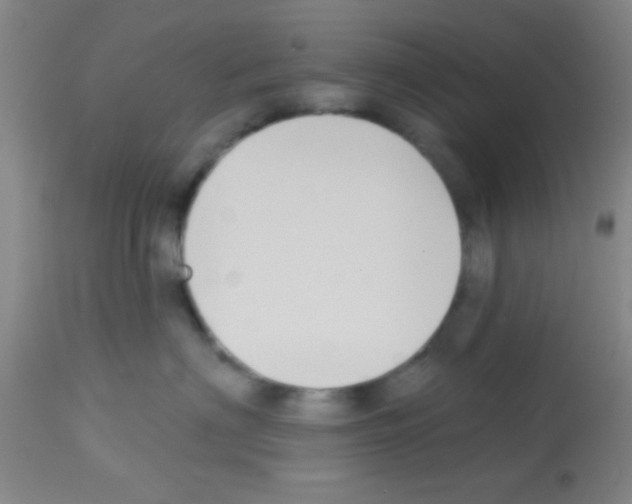 X0000113130622200910161134