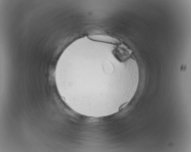X0000113130624200910161134