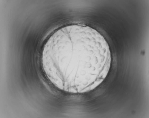 X0000113130626200910161133