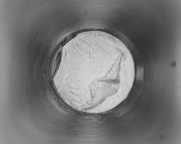 X0000113130627200910161133