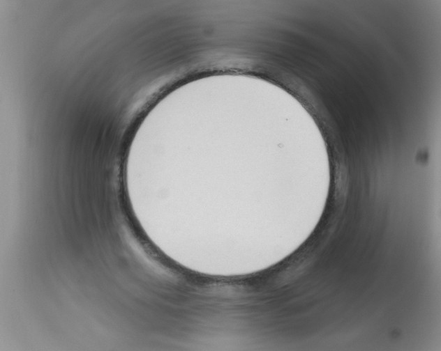 X0000113130629200910161133