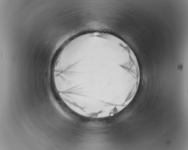 X0000113130630200910161133
