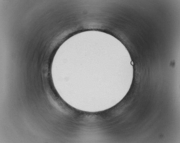X0000113130631200910161133