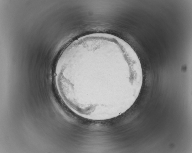 X0000113130634200910161133