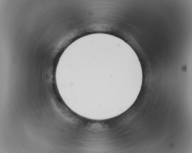 X0000113130635200910161133