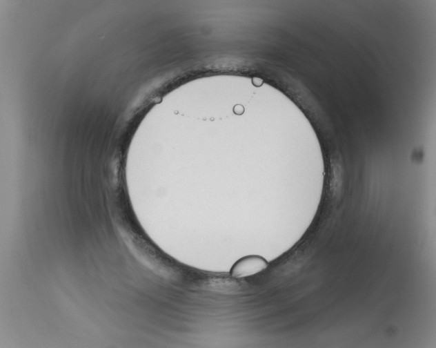 X0000113130636200910161133